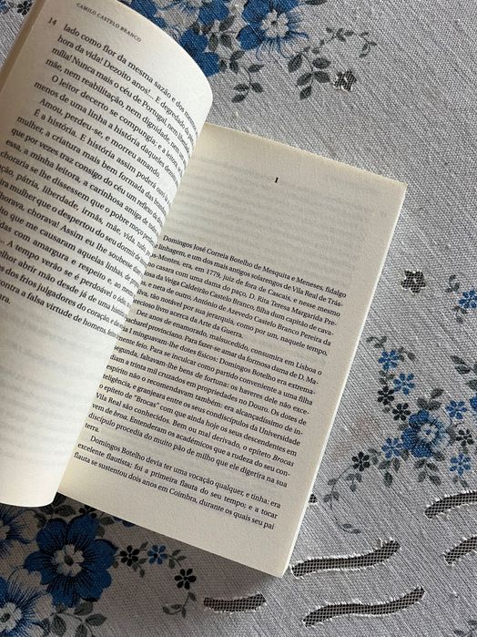 Amor de Perdição