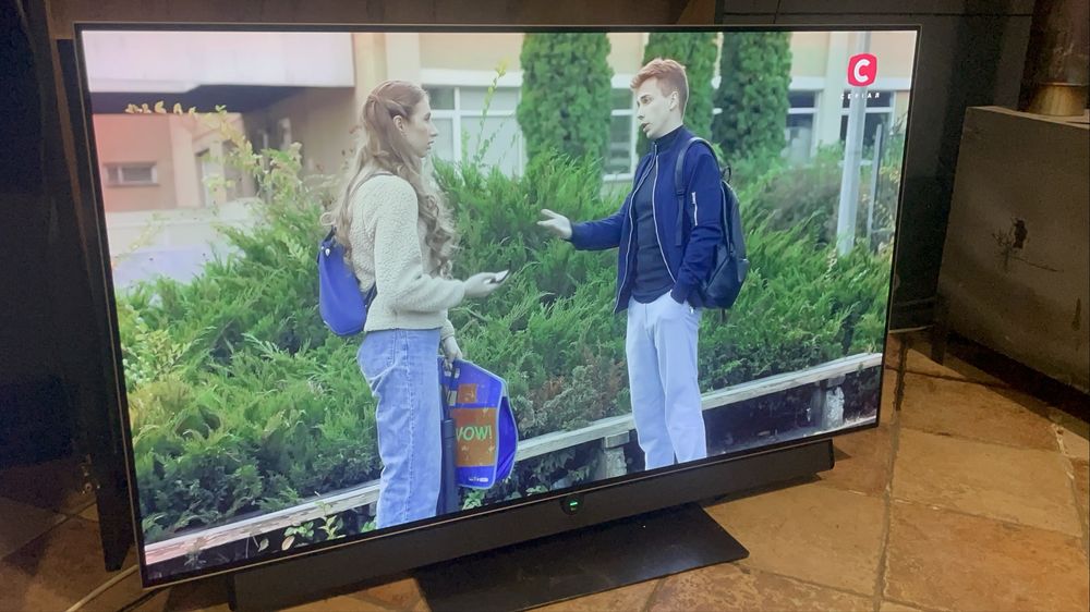 Loewe 55 smart tv 4K дефект