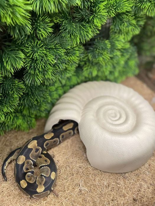 Аксесуари та обладнання для тераріуму