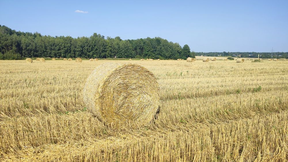 Słoma 120x120 z 2025r