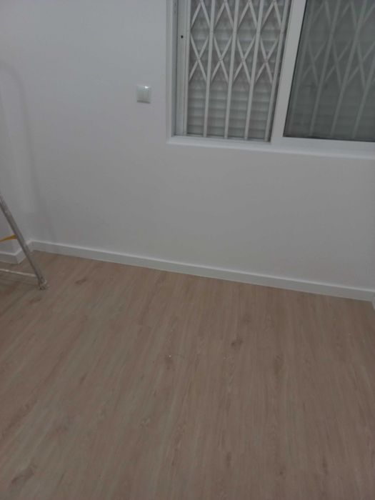 Professional Painter475924498764933123