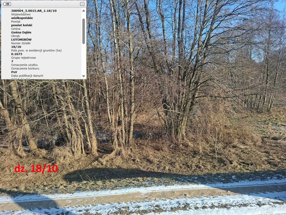 Sprzedam grunty rolne 3,15ha w miejscowości Gaj i Chełmno, gmina Dąbie - Widok 5