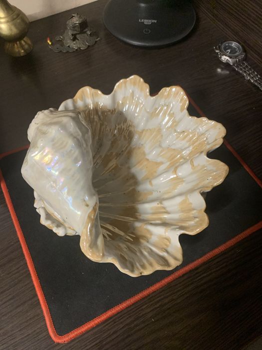 Продам большую ракушку