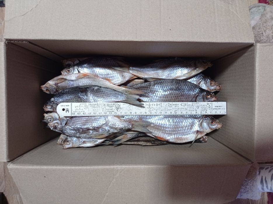 Риба сушена.Таранка. Плітка. Плотва