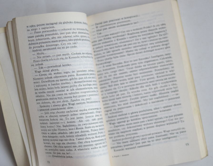 Popiół i diament - J. Andrzejewski