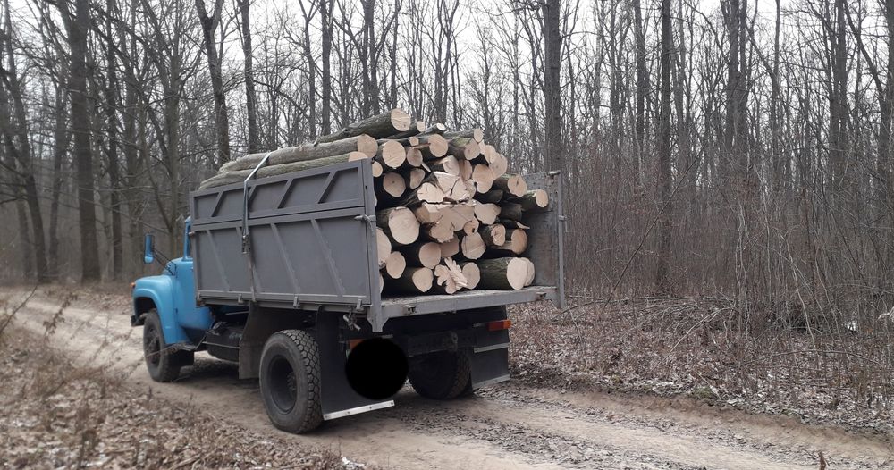 ПРОДАМ ДРОВА! З доставкою.