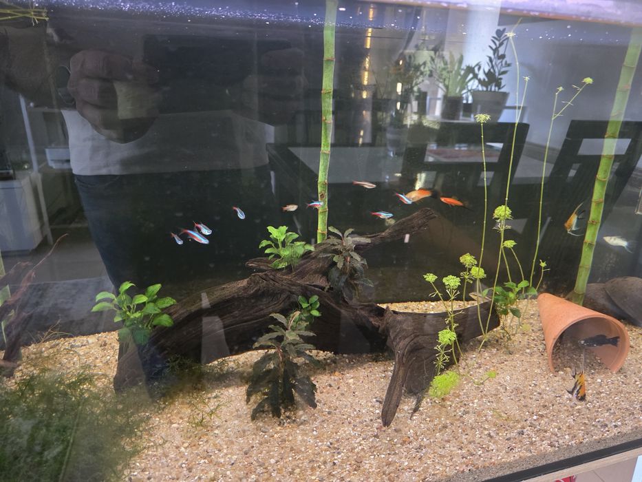 Vendo aquário completo 300l 120cm