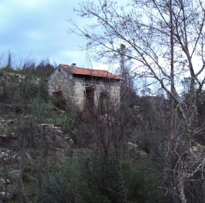 Arrenda-se Quinta Exclusiva 25ha | 1km margem de Rio Mondego