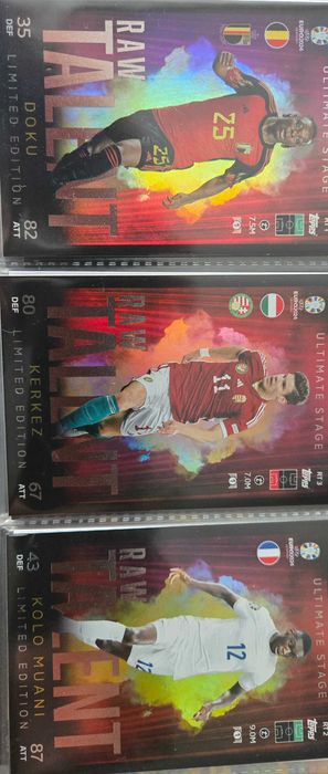 Karty Euro 24Germany Extra