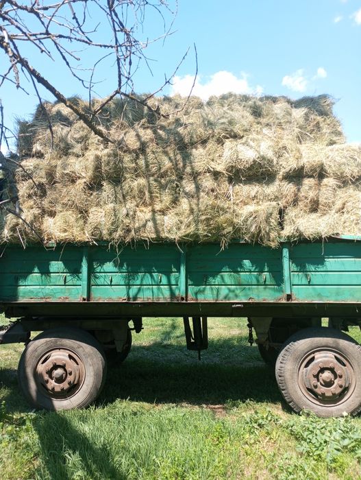 Продам луговое сено в квадратных тюках