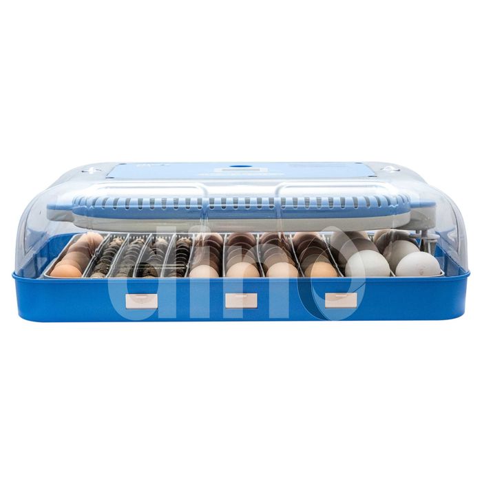 Inkubator Automatyczny klujnik DINO PRO 70jaj kur kaczek gęsi 12V 230V