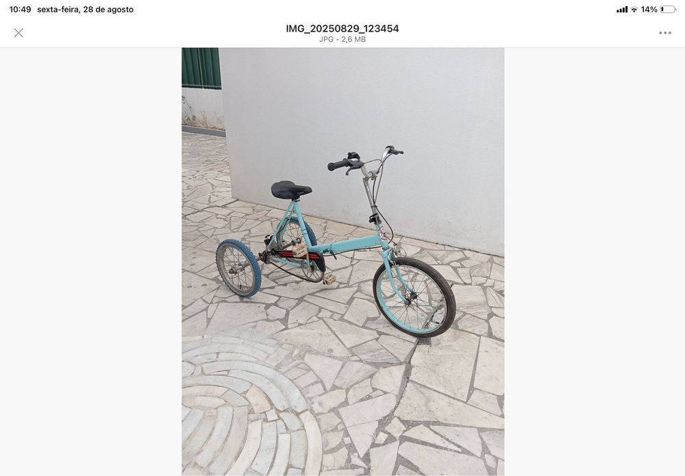 Bicicleta triciclo