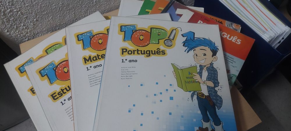 Livro Fichas e Manuais Escolares 1º Ano