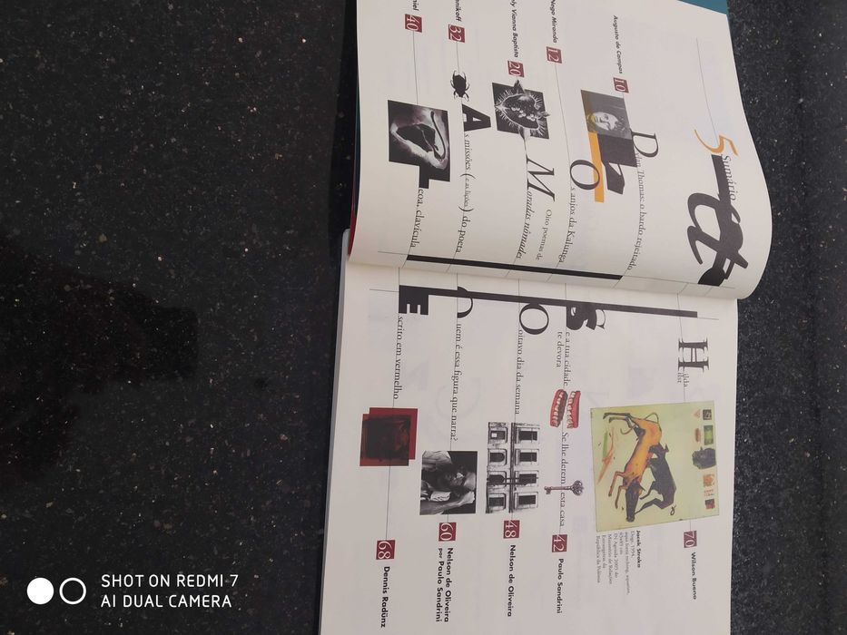 Revistas Literárias