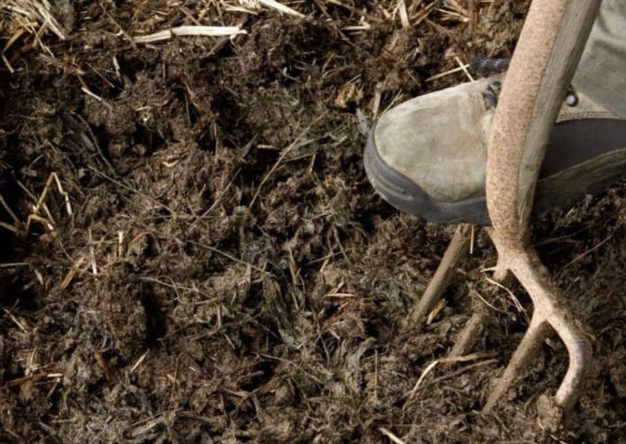 Коров'ячий гній/перегній