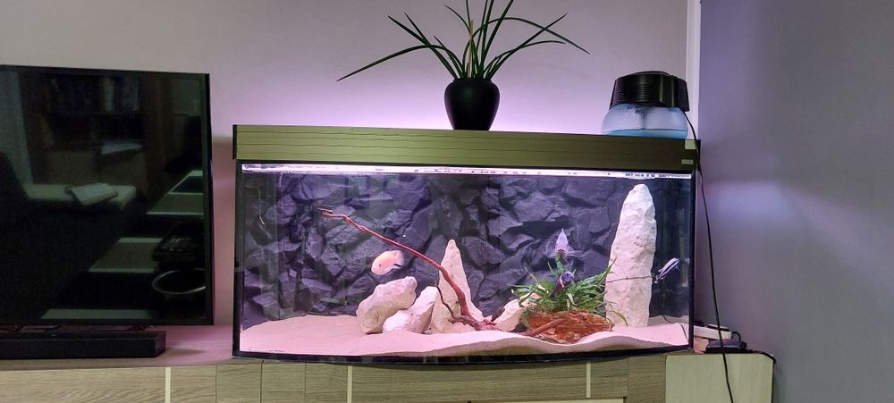 Dekoracja do akwarium - skały