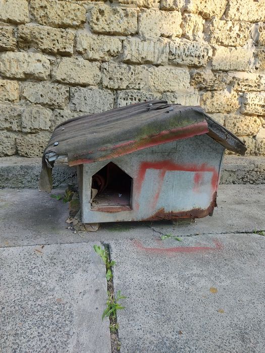 Буда для собаки середнього розміру