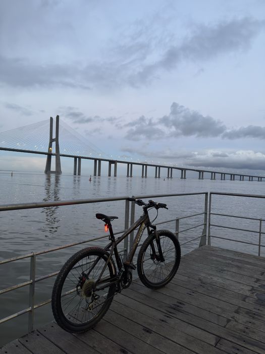 Specialized HardRock Comp.