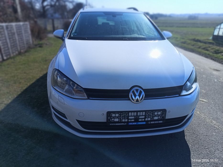 Volkswagen Golf Vll