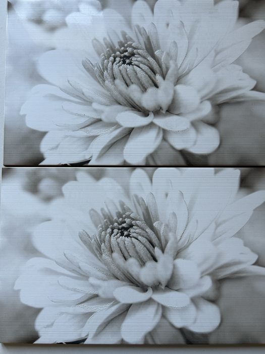 Płytka dekor Garda flower 25x40 cm CERSANIT