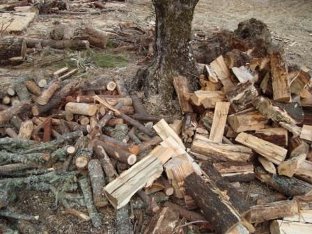 Lenha para lareira