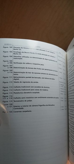 O Livro da Pera Rocha - Jorge Soares, Amado Silva, José Alexandre