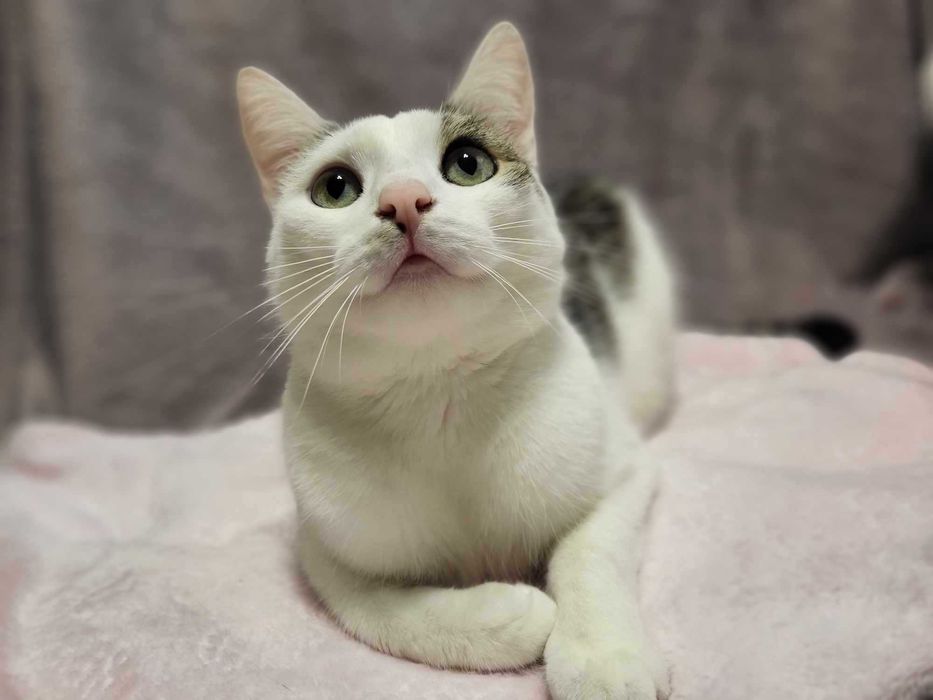 Lenka szuka swojego człowieka