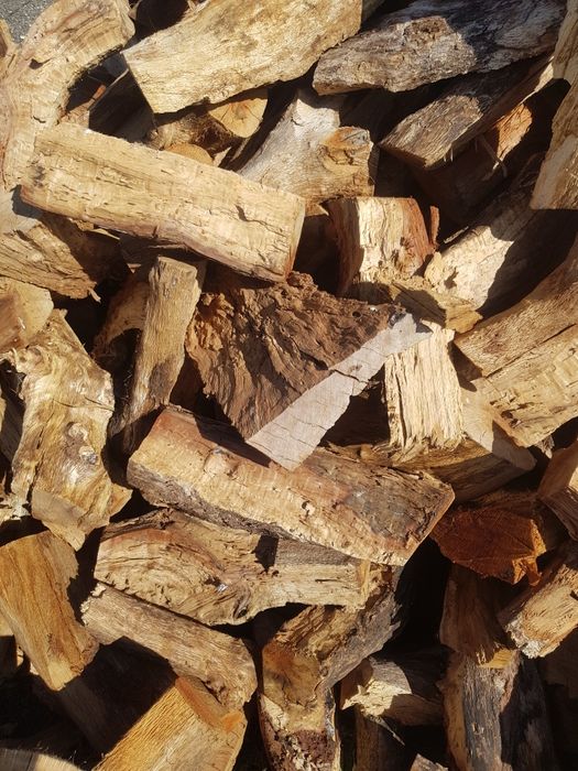 Lenha de sobro seca