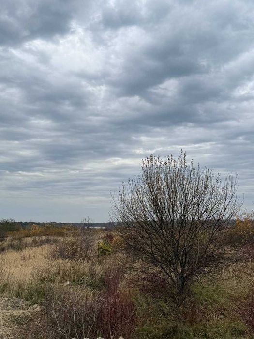 Продаж земельної ділянки Скнилів