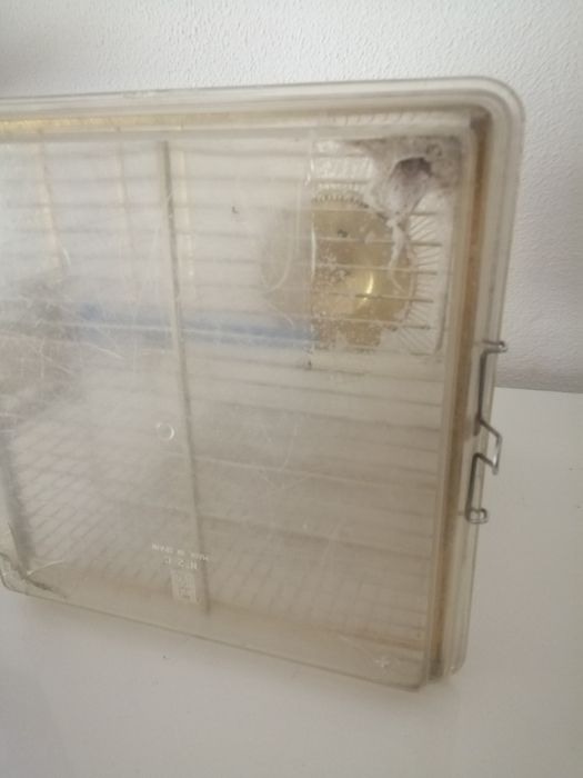 Gaiola dourada de pássaros vintage