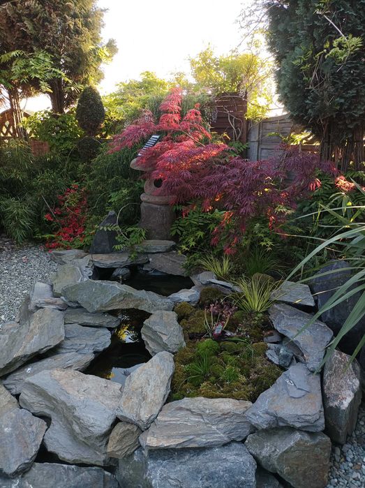 zakładanie i aranżacja ogrodów - oczka wodne