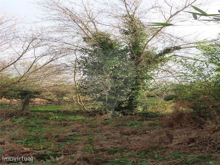 Quinta  para venda