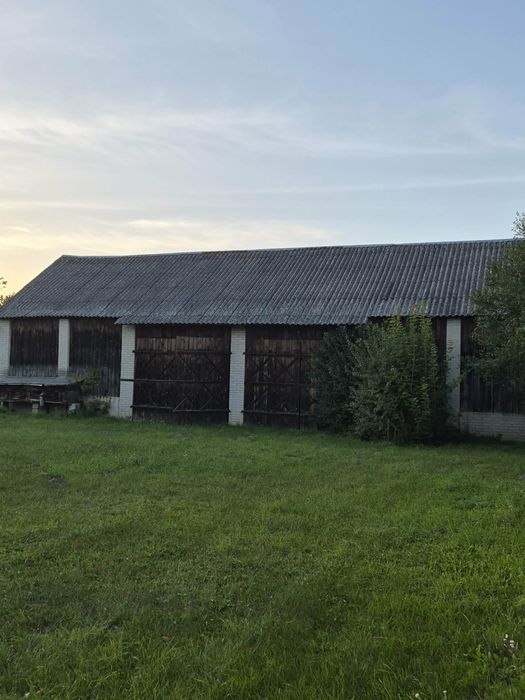 Zdjęcie 6