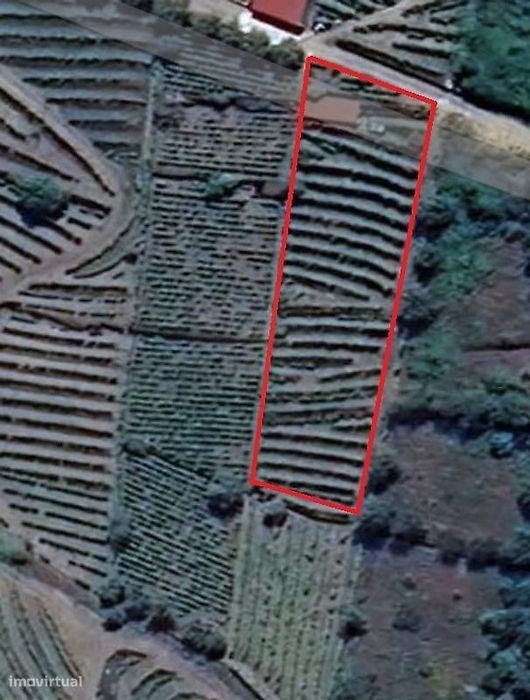 Terreno  para venda