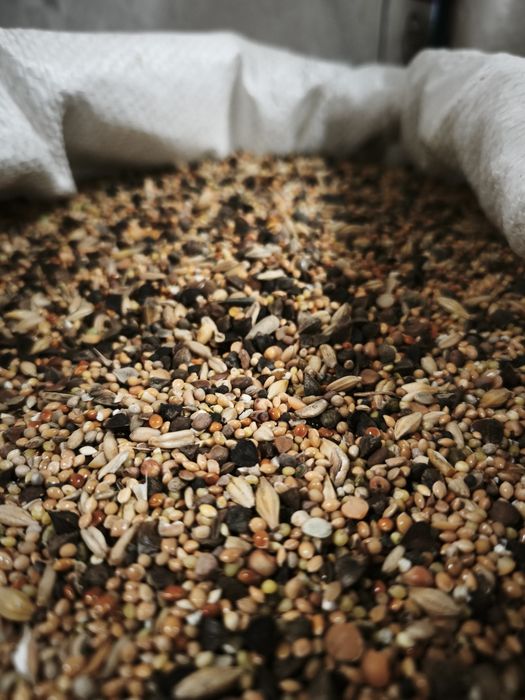 Mieszanka przepiórka kura papuga drugi gatunek 25 kg