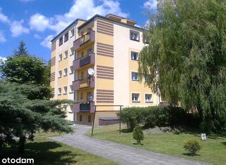 Ładne mieszkanie z pięknym widokiem na miasto