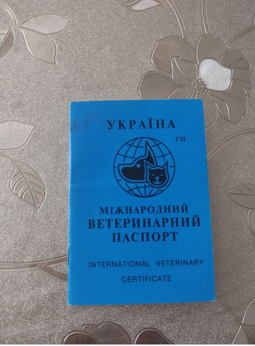 Віддам,в добрі руки.