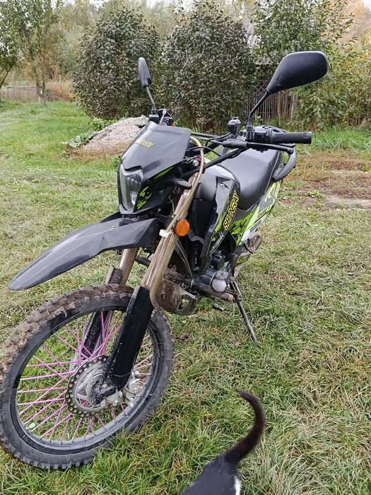 Продам шенерай 6ц