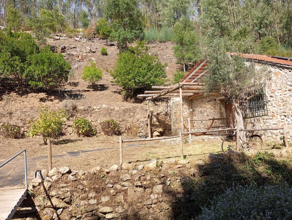 Limpeza de terrenos agrícolas mato podas