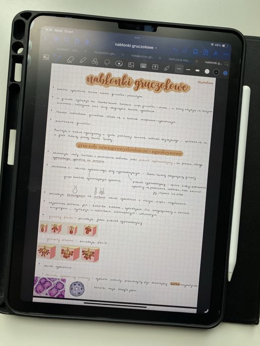 Histologia - notatki z pierwszego roku, dostęp do dysku