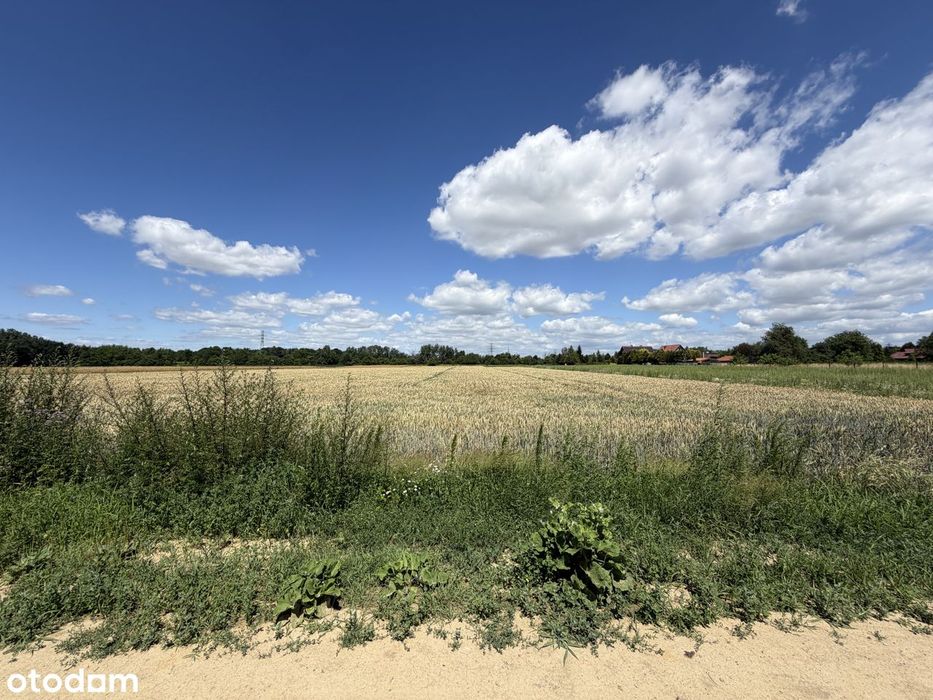 Działka pod zabudowę wolnostojącą lub bliźniaczą