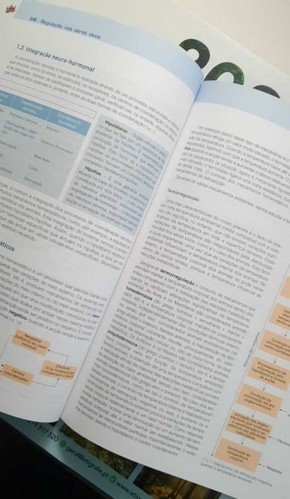 Study Guide - Biology 10th Grade – Porto Editora64586161716481121
