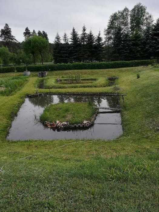 Agroturystyka z odnową biologiczną na sprzedaż