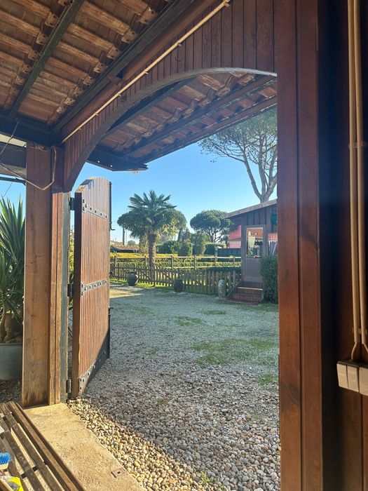 Cavalos a penso/Aulas de equitação