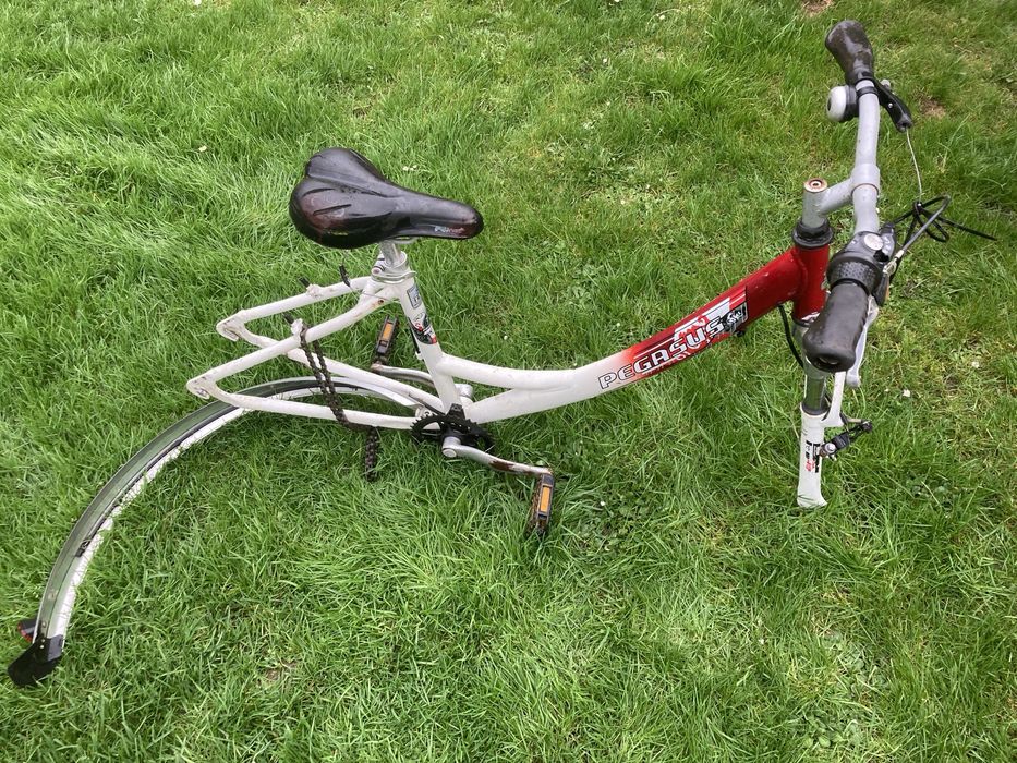 Rower miejski Pegasus