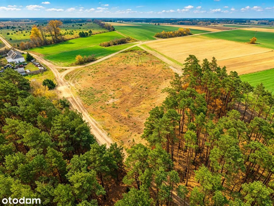 Działka 4400 m² przy lesie, media, MPZP, możliwy podział - Więcej