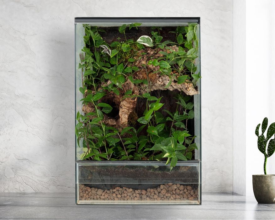 Terrarium paludarium las w szkle