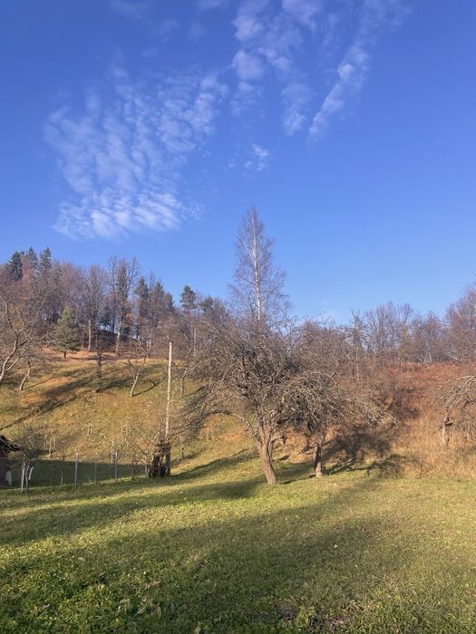 Продаж будинку та земельної ділянки 91 сот. біля лісу в с. Шешори