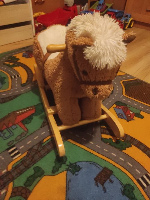 Konik na biegunach