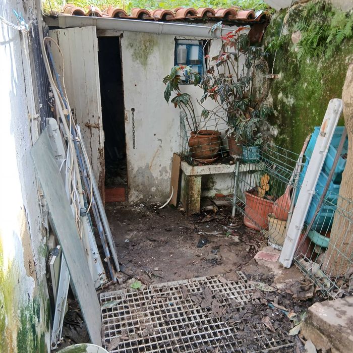 Limpezas e Recolhas GRATIS
